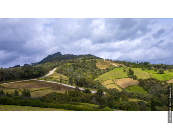 85730420250625041655