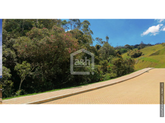 85730420250626051234