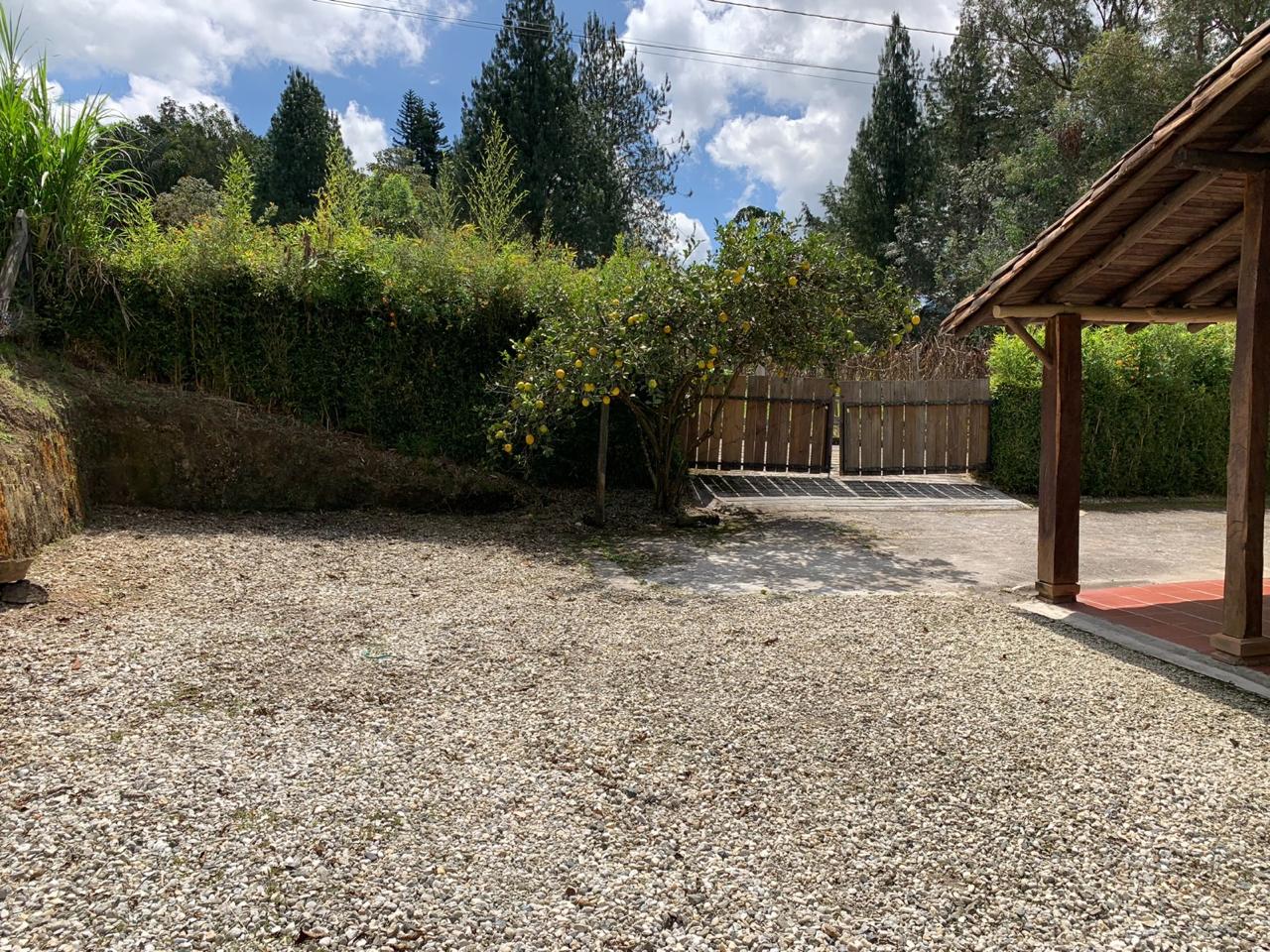 857304420250207040329