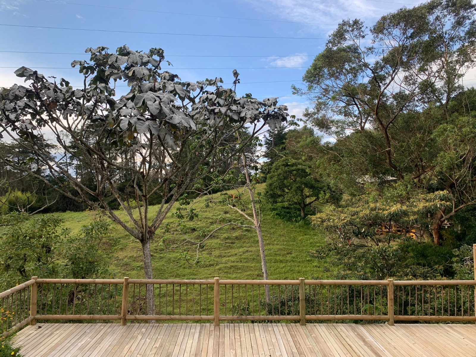 857304420250225100026