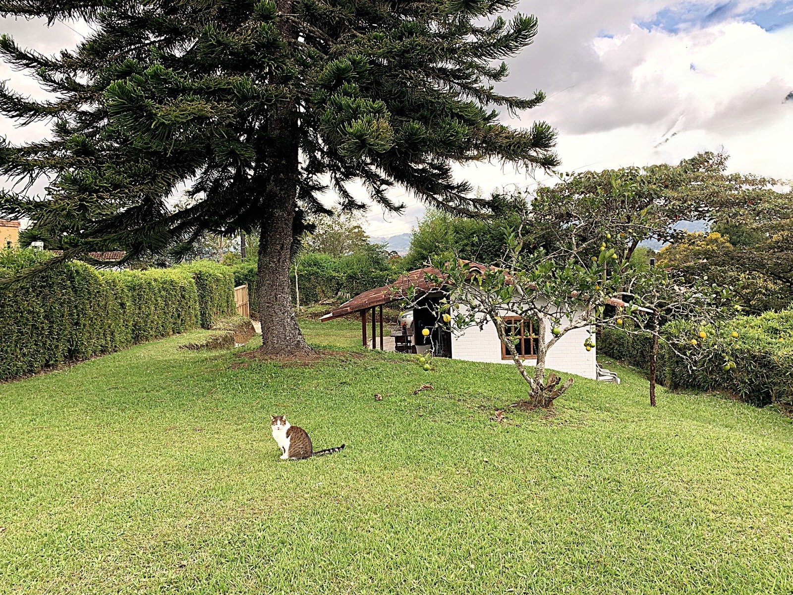 857304720250225100027