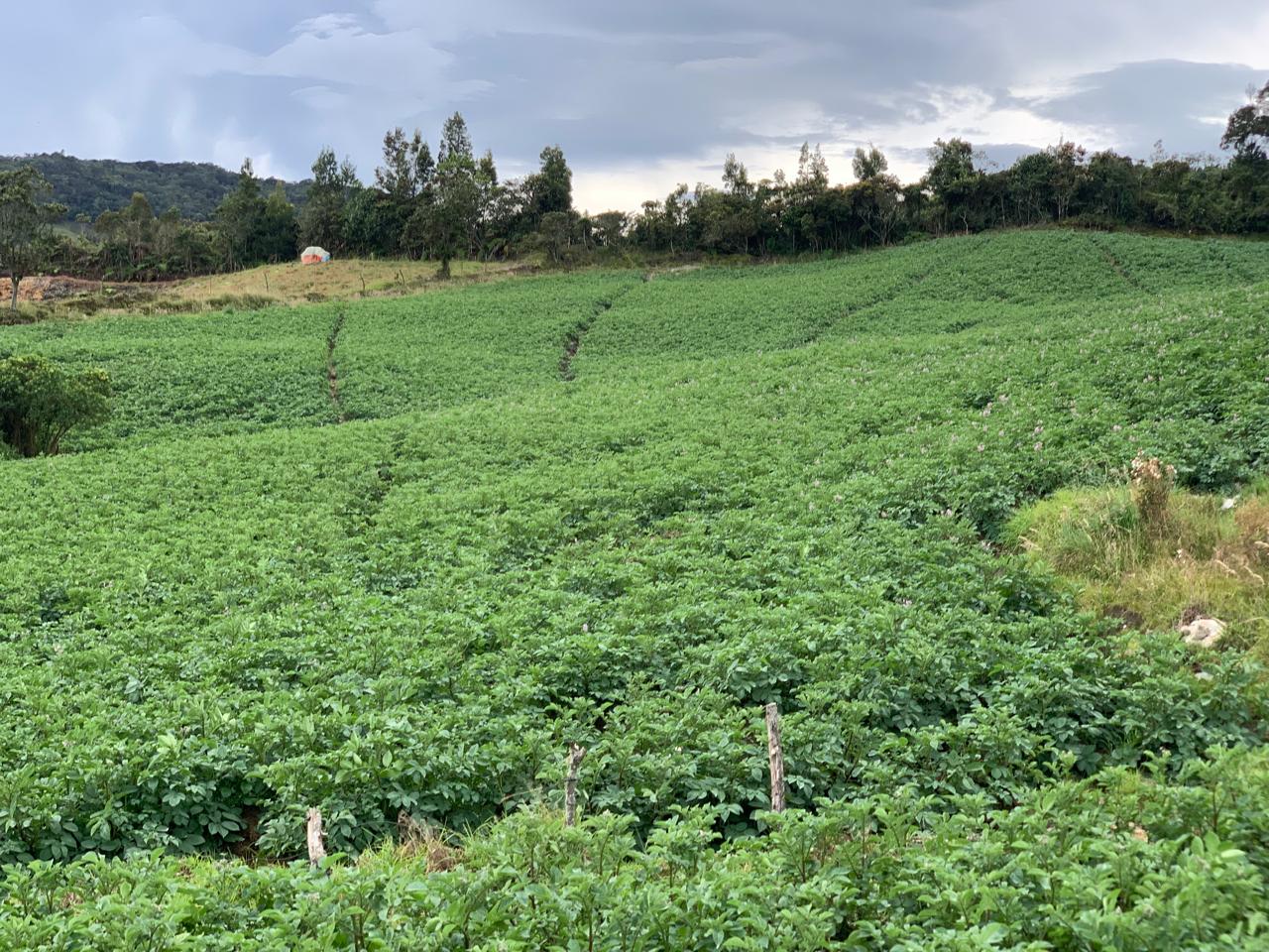 85730520240528092417