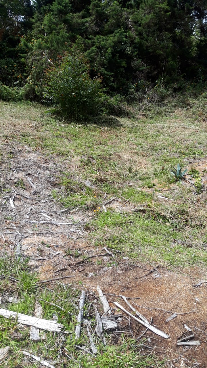 85730520240709043842