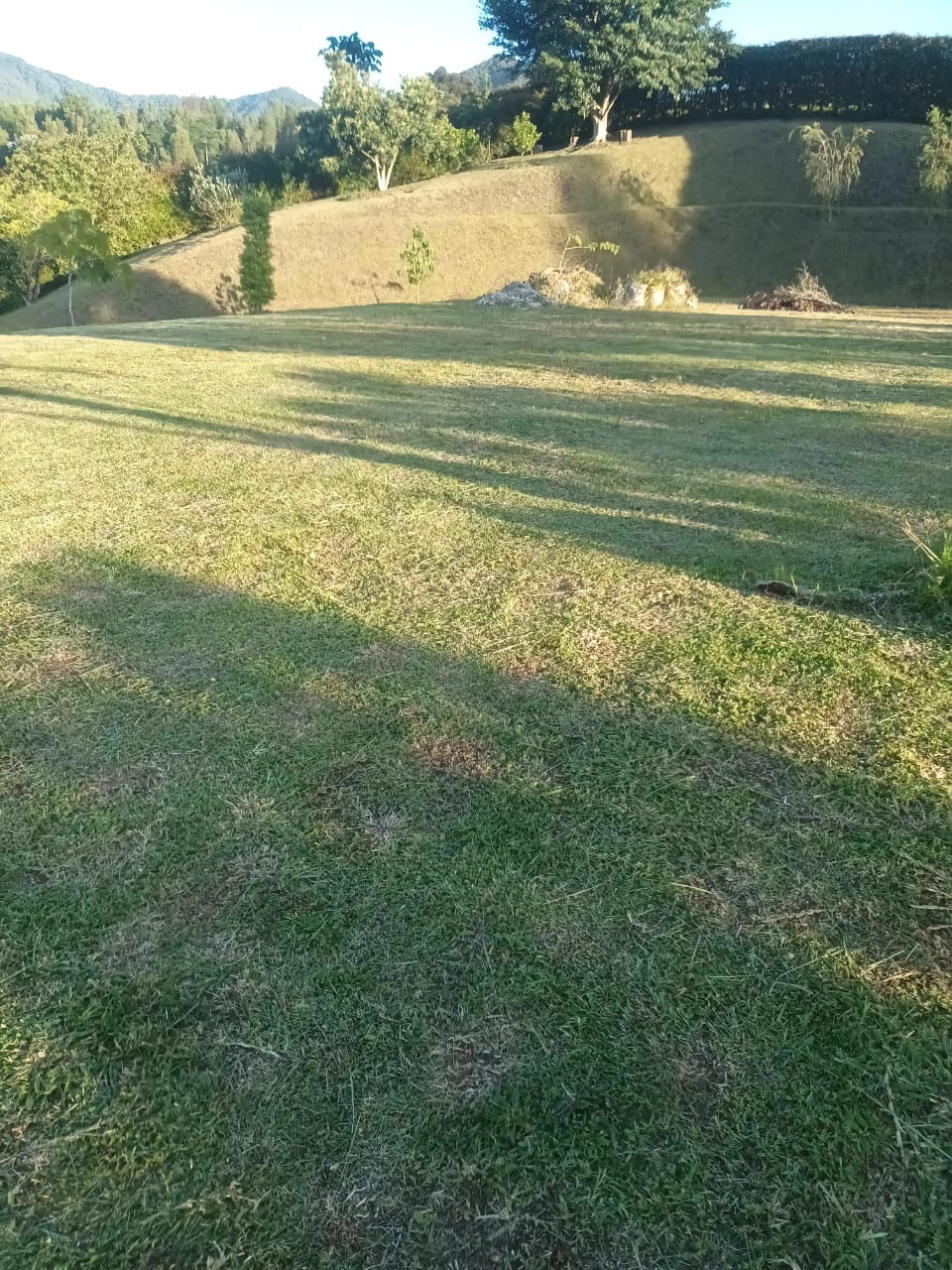 85730520240808115737