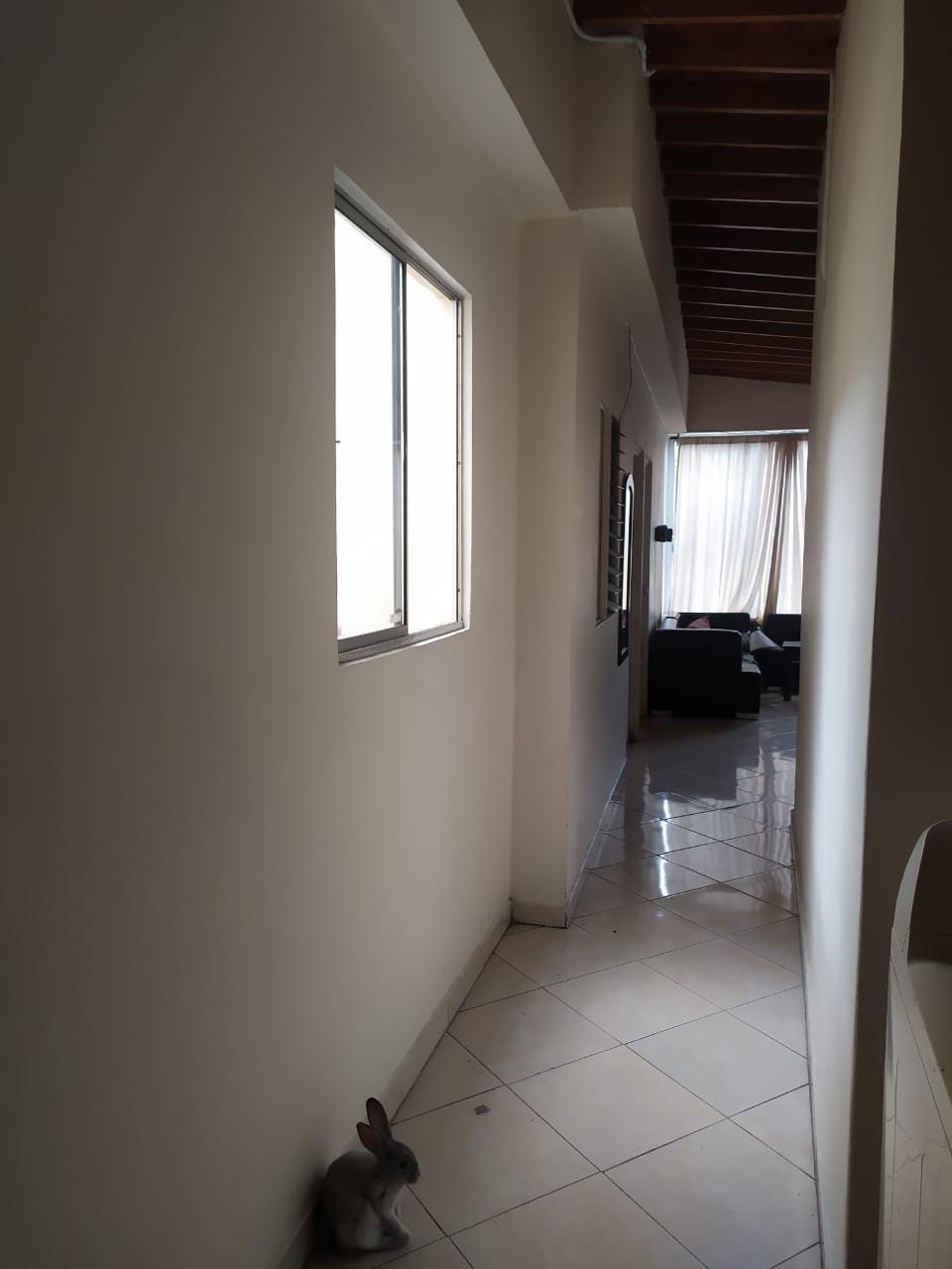 85730520240917030004