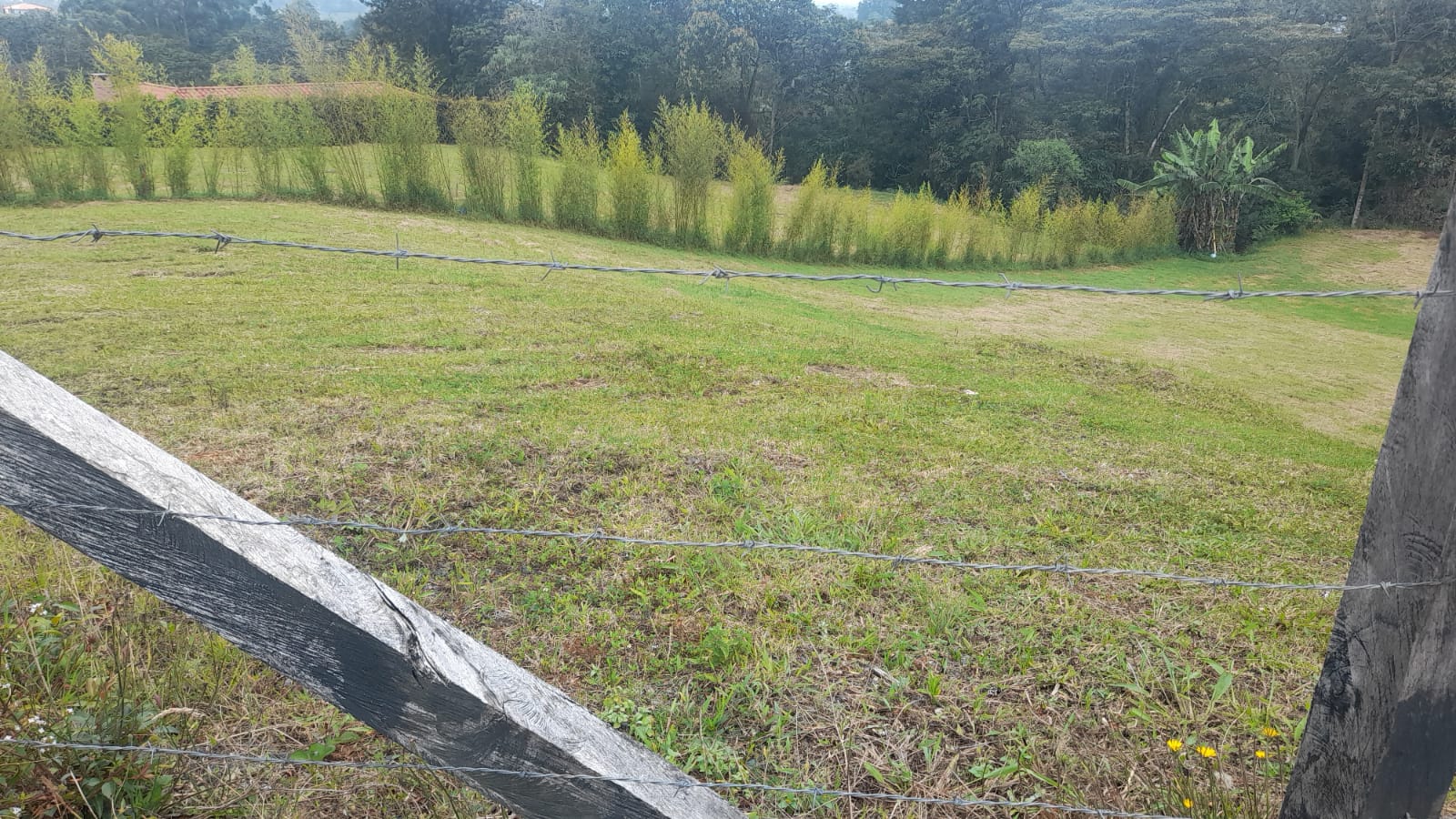 85730520240917040230