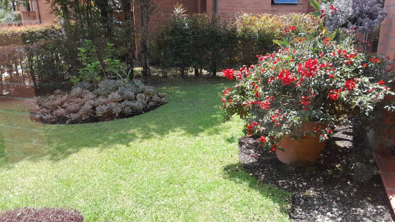 85730520241017043909