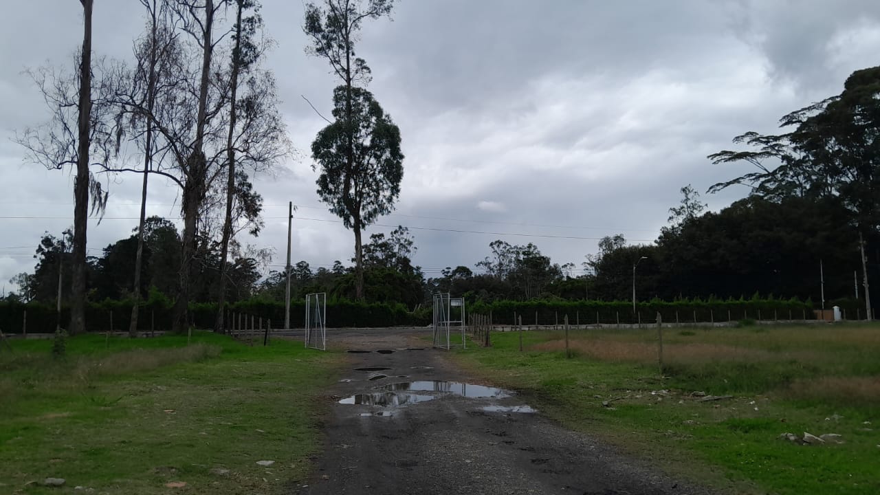 85730520241107102320