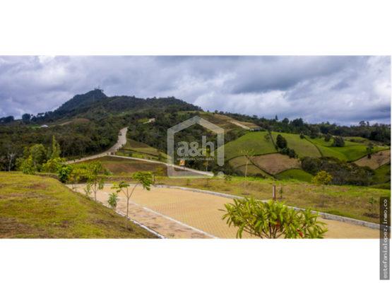 85730520250626051234