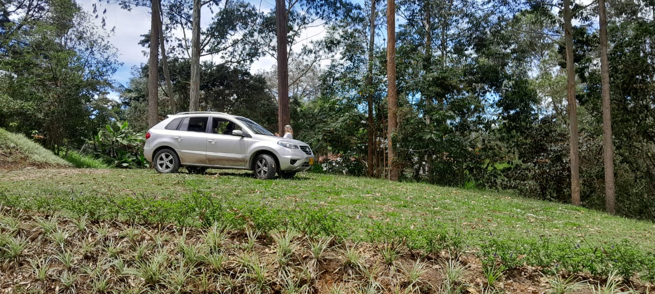 85730620240524022920