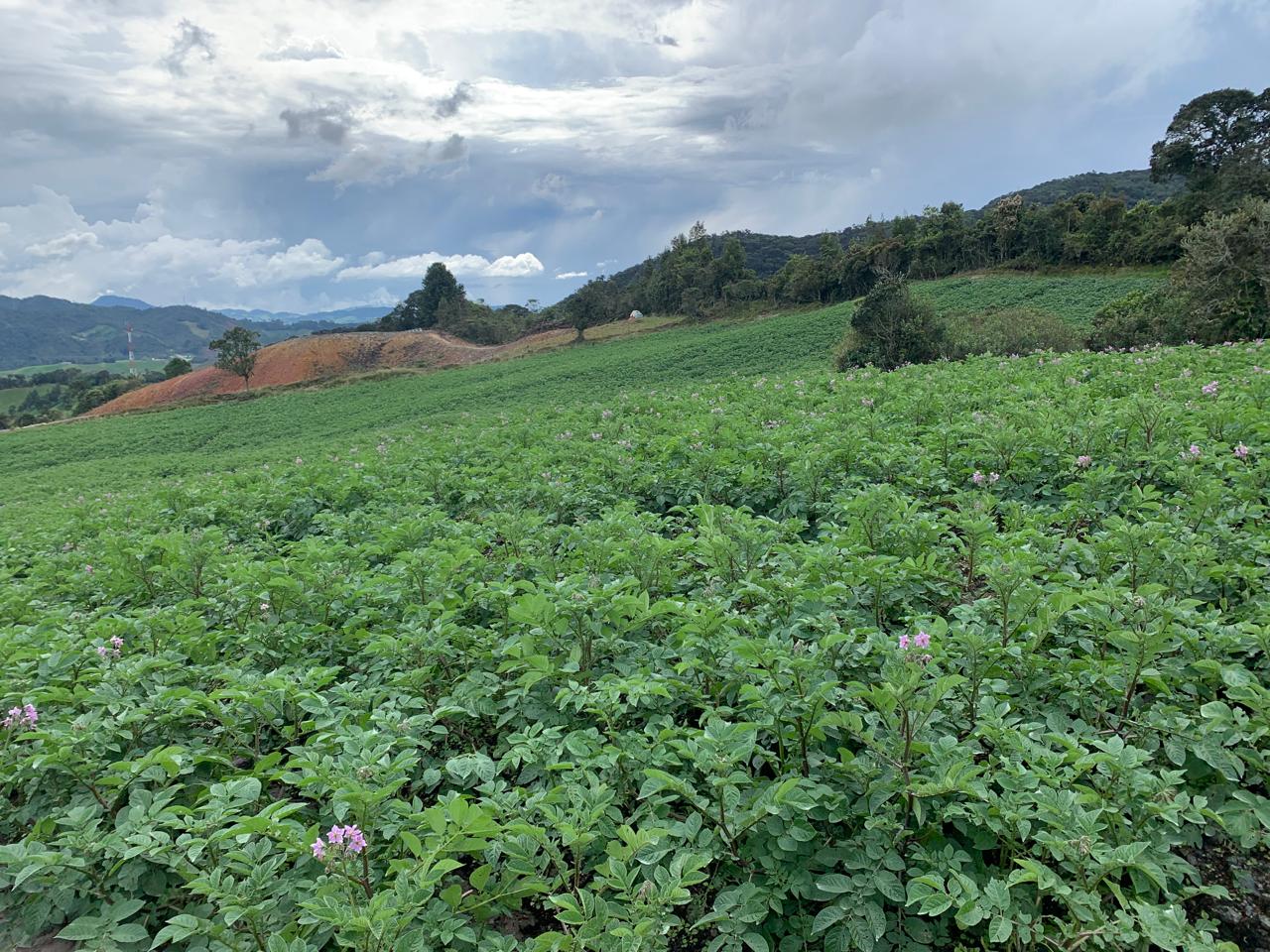 85730620240528092417