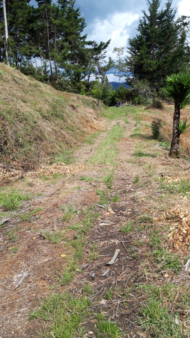 85730620240709043842