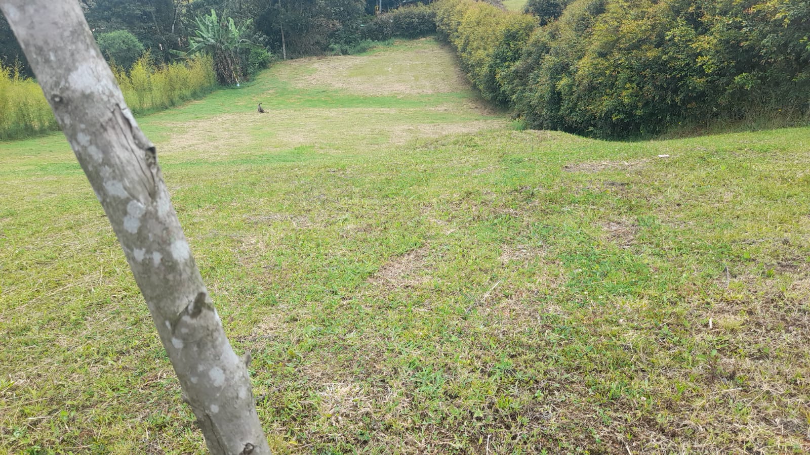 85730620240917040230