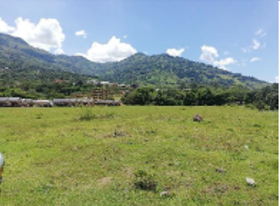 85730620241107092215