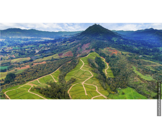 85730620250625010157