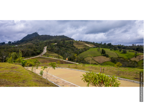 85730620250625041655