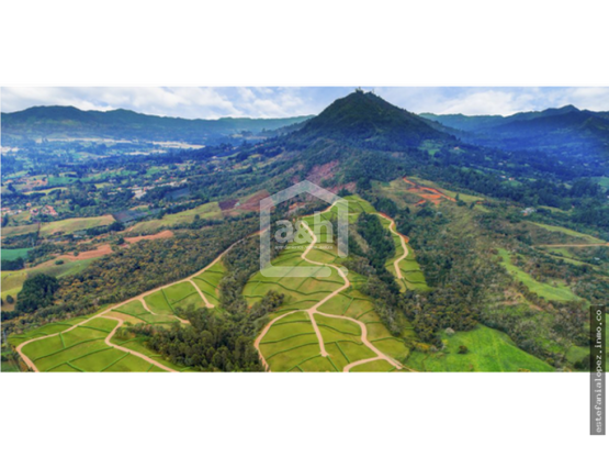 85730620250626051235