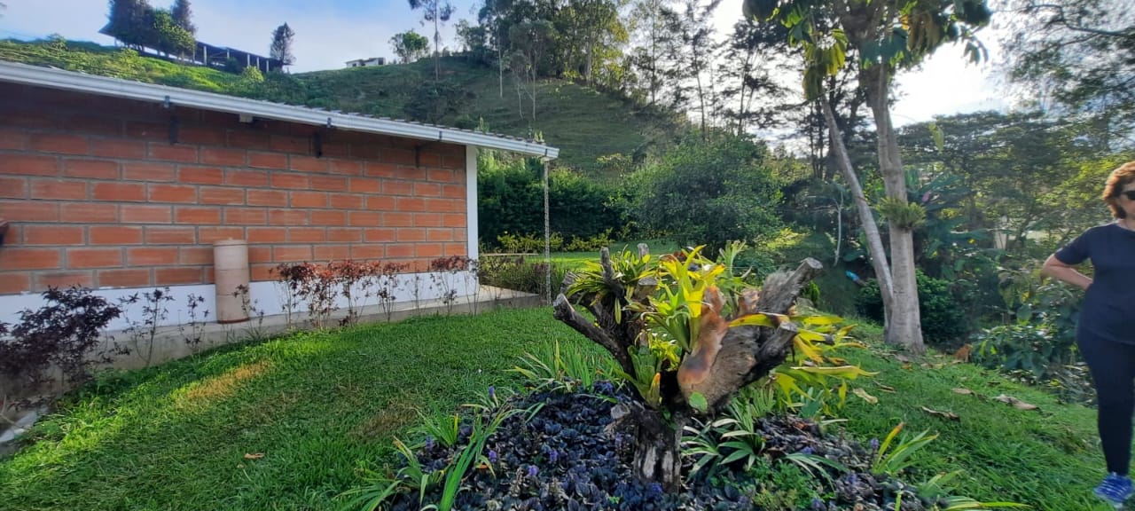 85730720220825115037