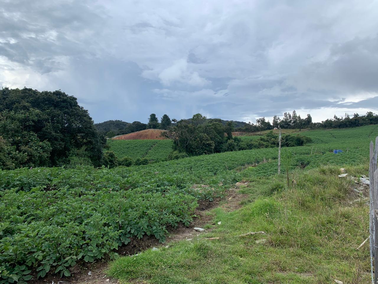 85730720240528092417