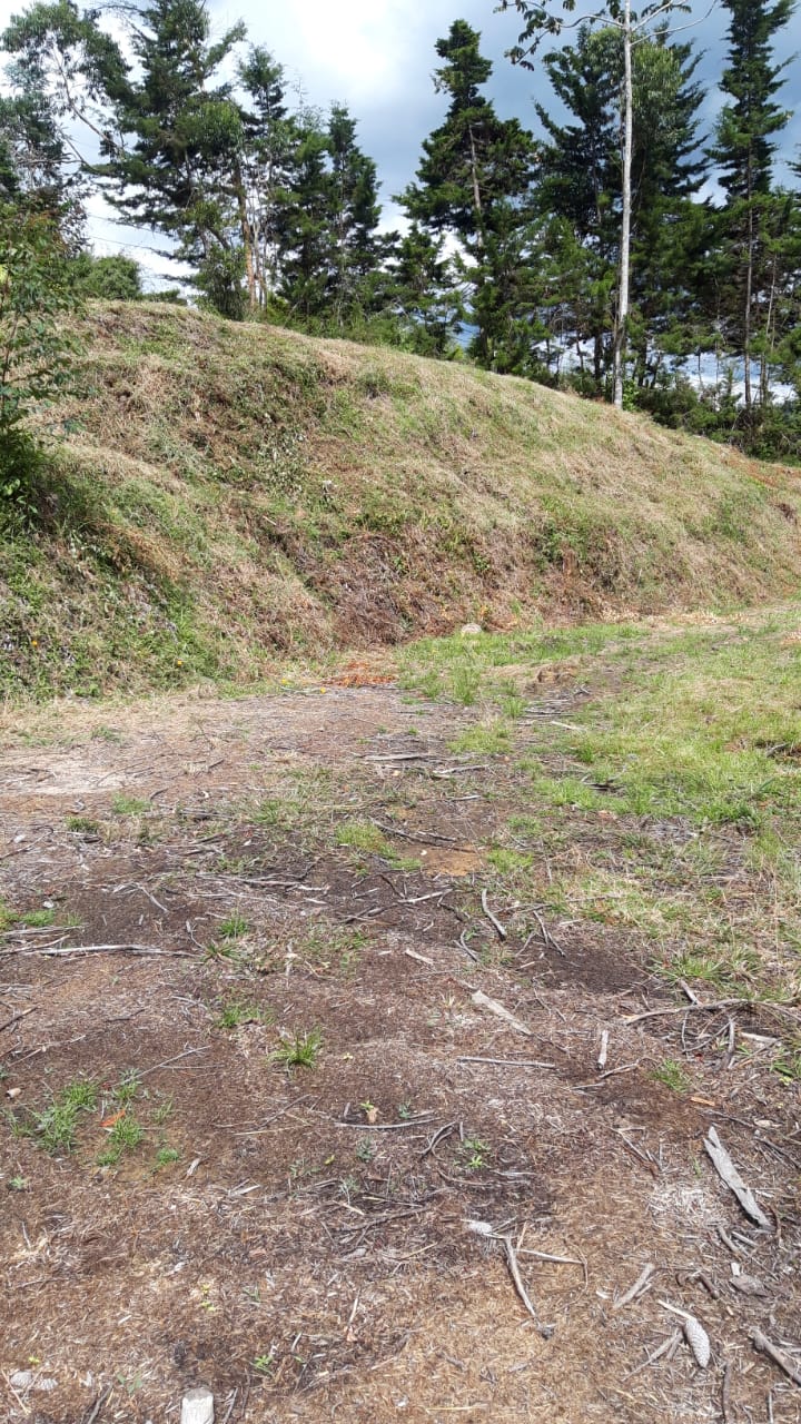 85730720240709043842