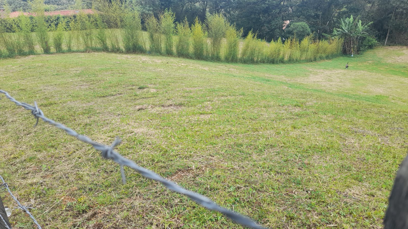 85730720240917040231