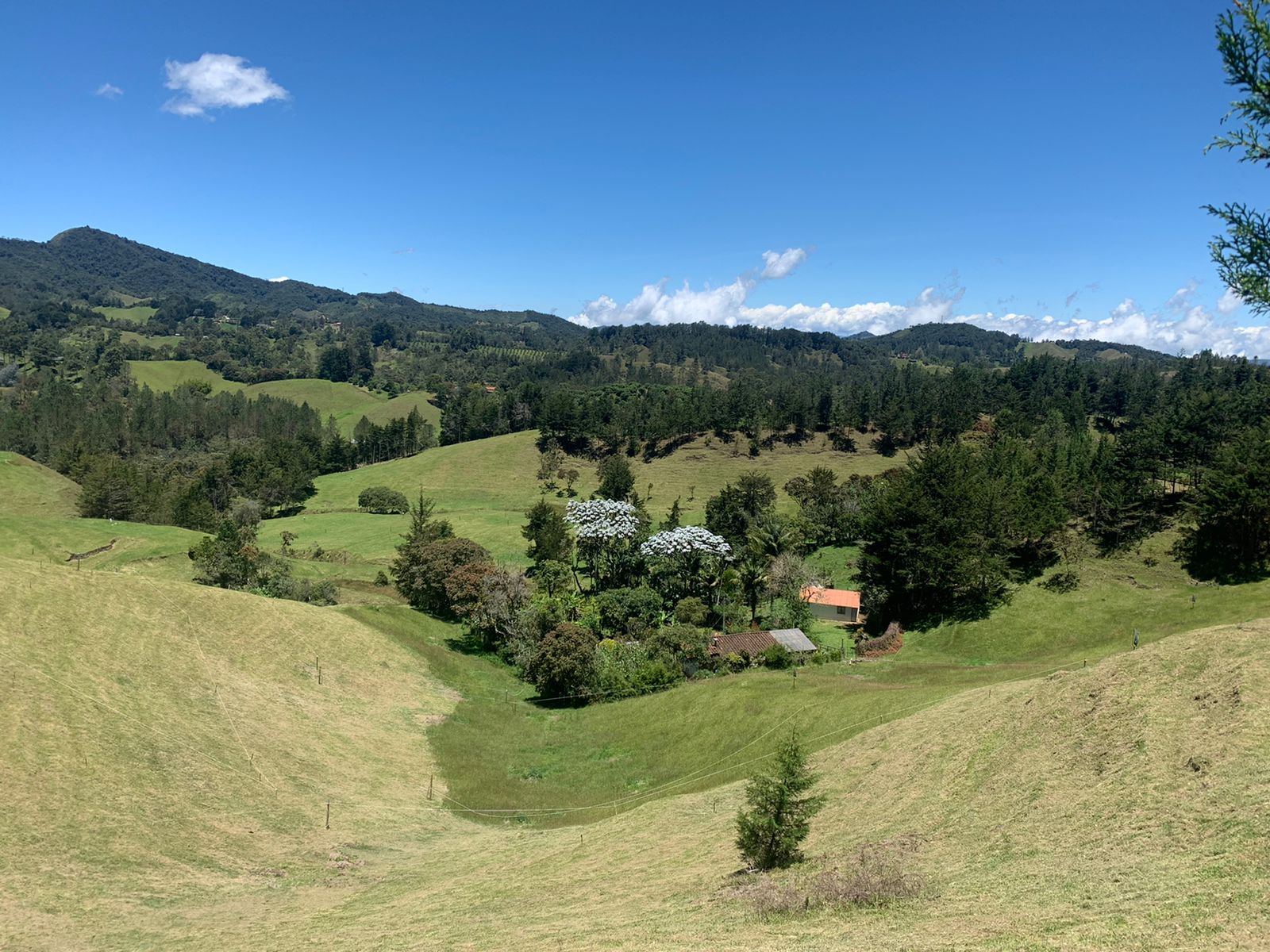 85730720241114022218