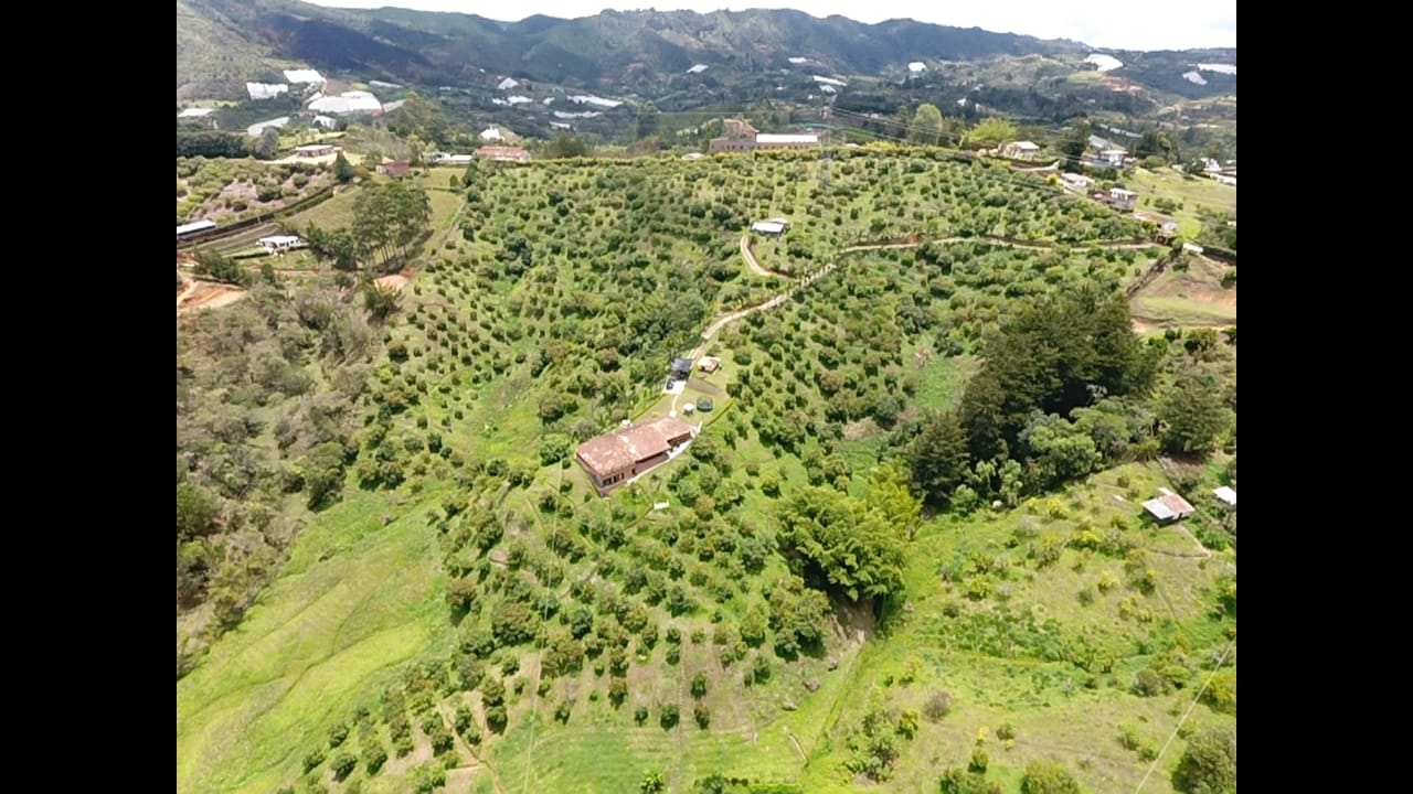 85730820240502093803