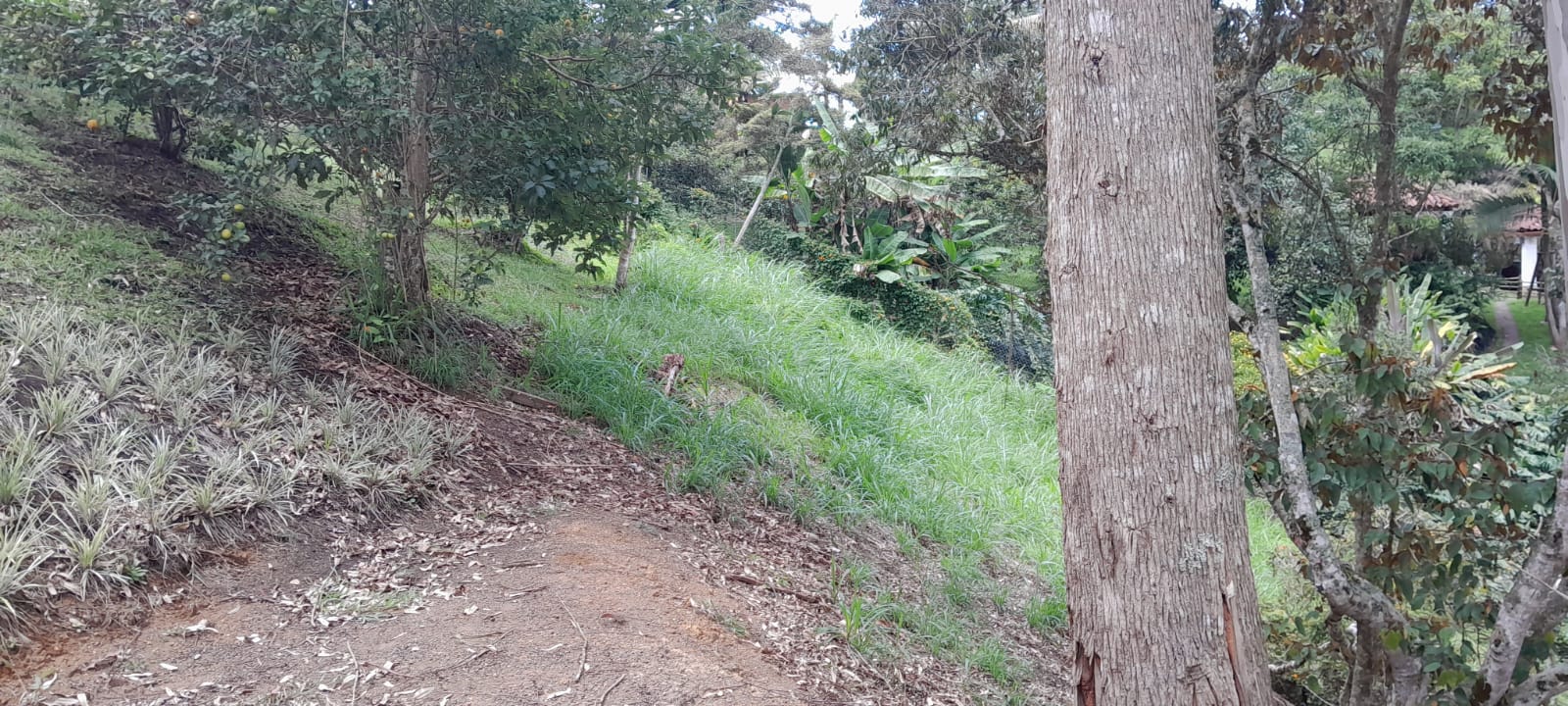 85730820240524022921