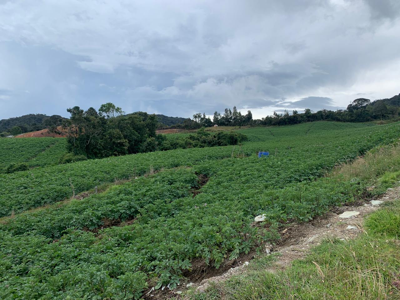 85730820240528092418