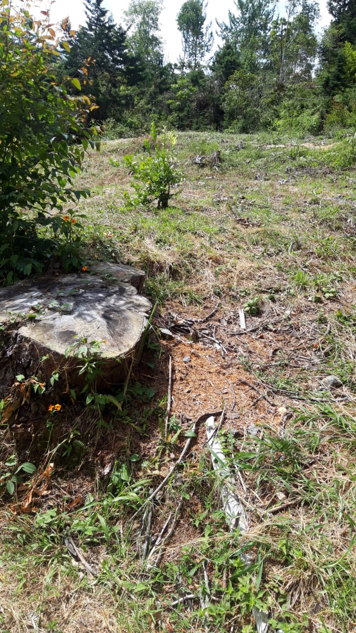 85730820240709043842