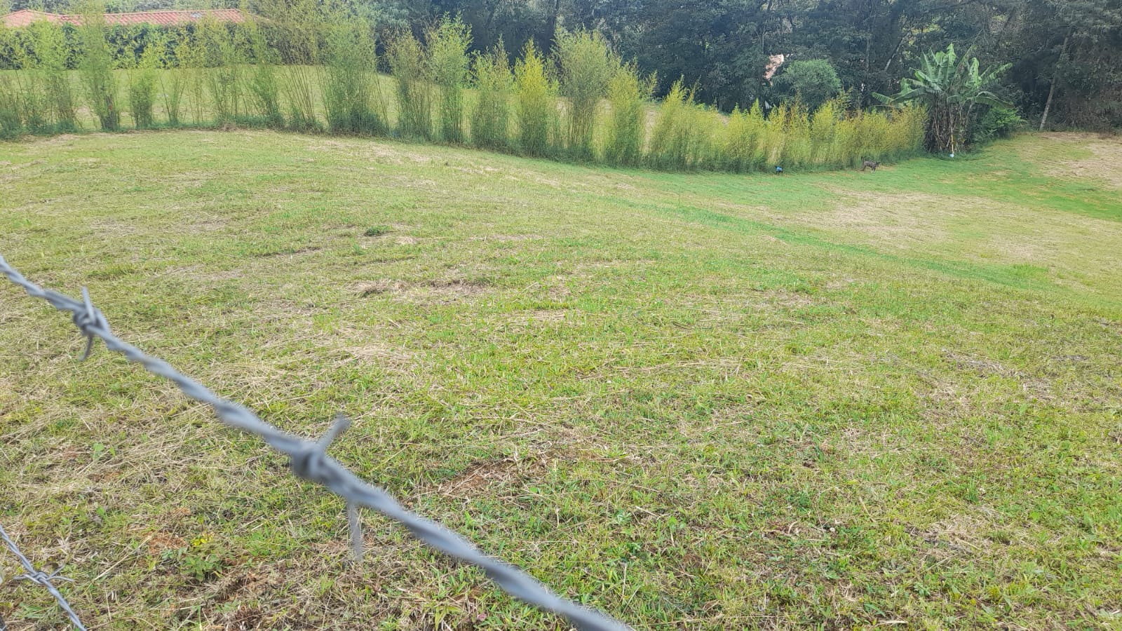 85730820240917040231