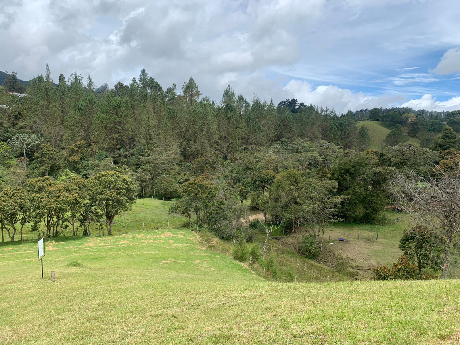 85730820241114022218