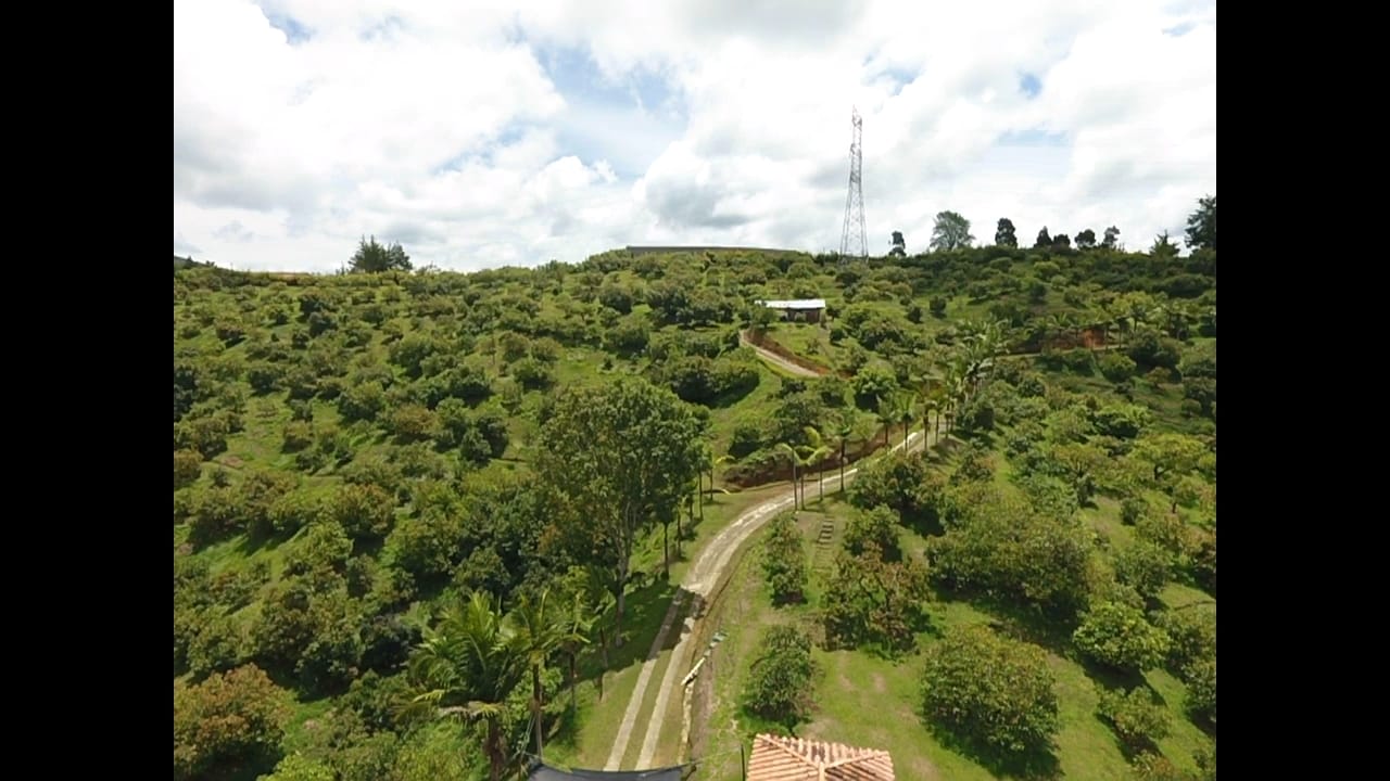 85730920240502093819