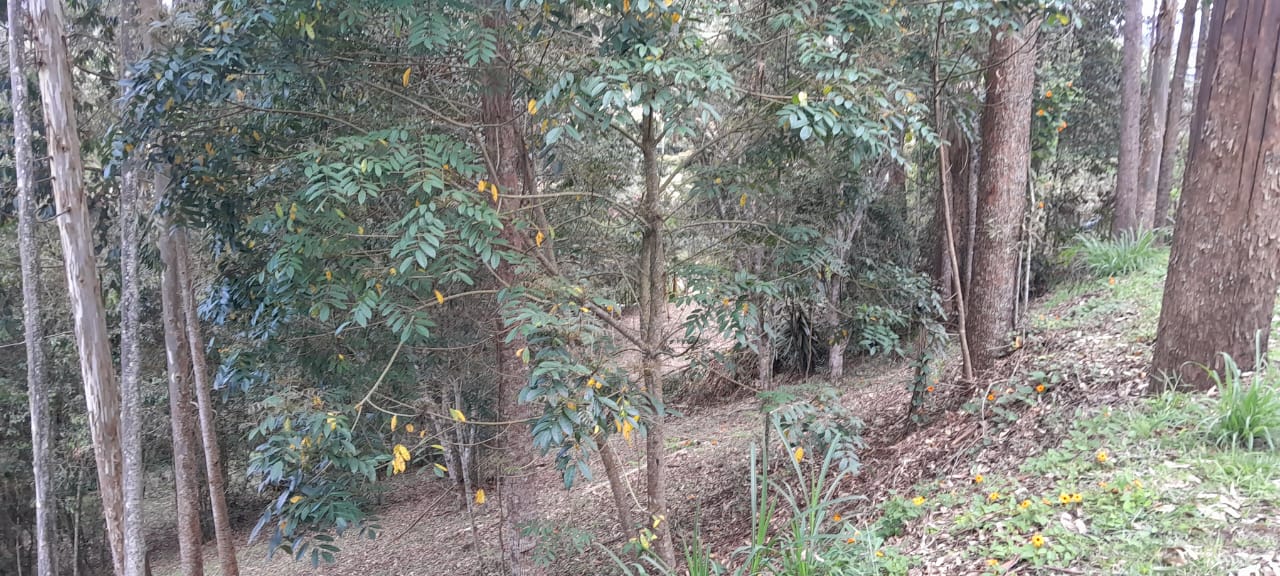 85730920240524022921