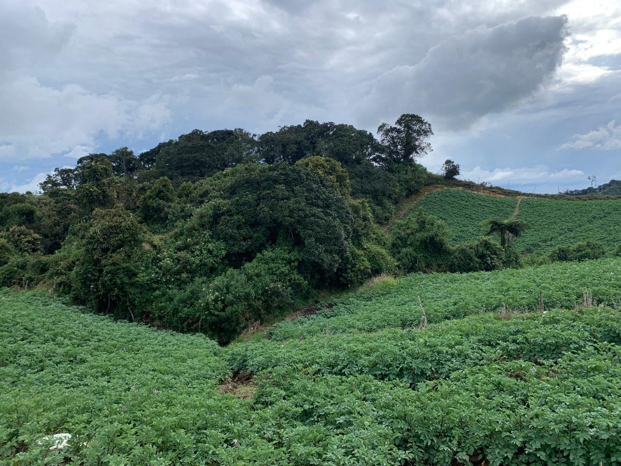 85730920240528092418