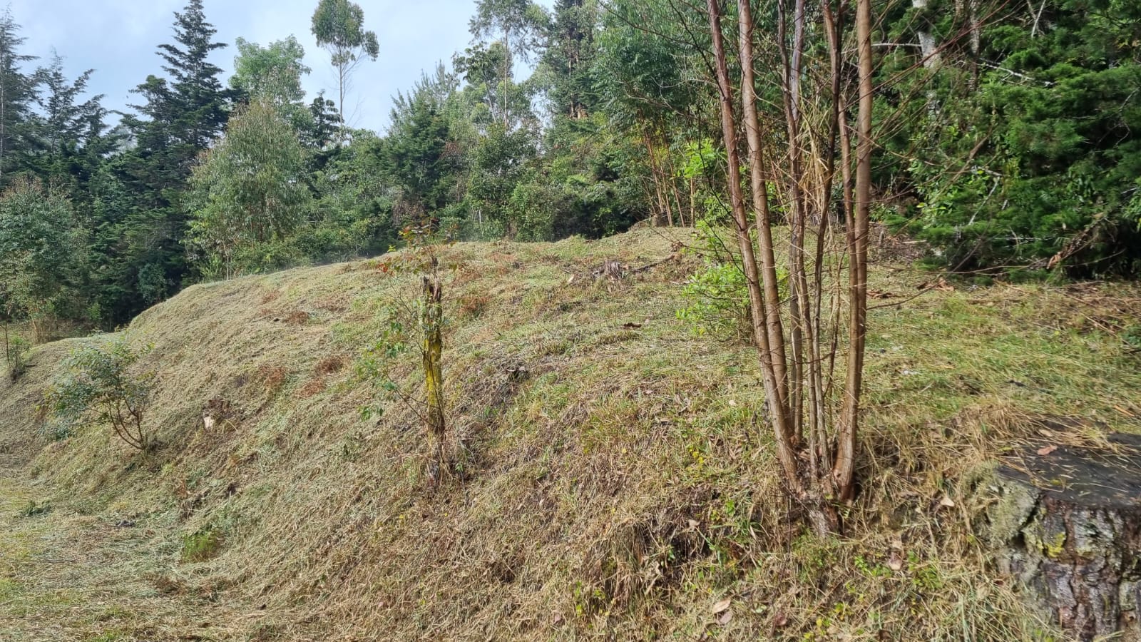 85730920240709043843