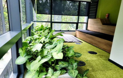 85730920240912024525