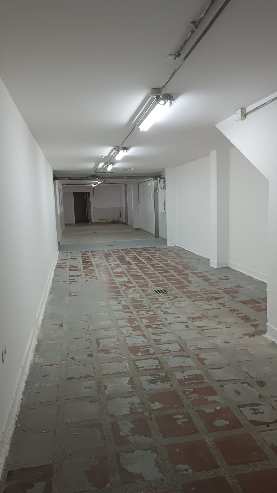 85730920241021041352