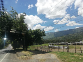 85730920241107092216