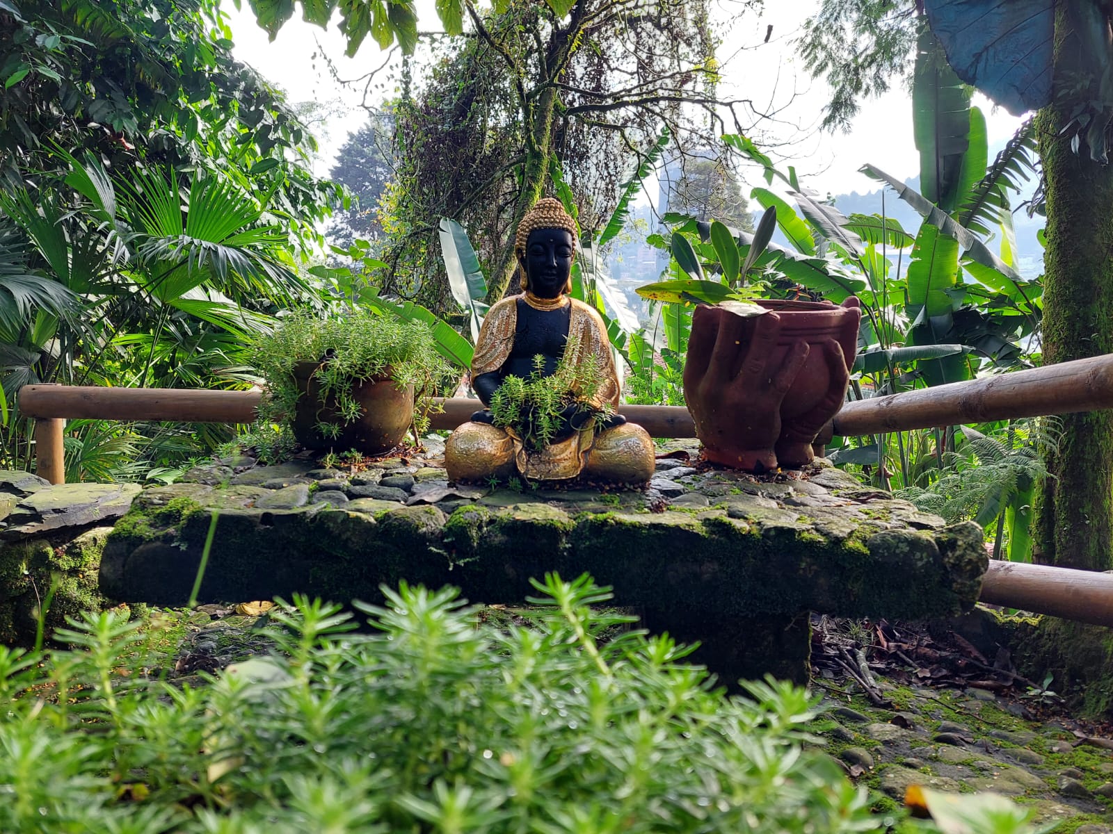 857303120251025120406