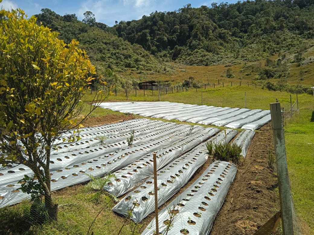 857301320251107112321