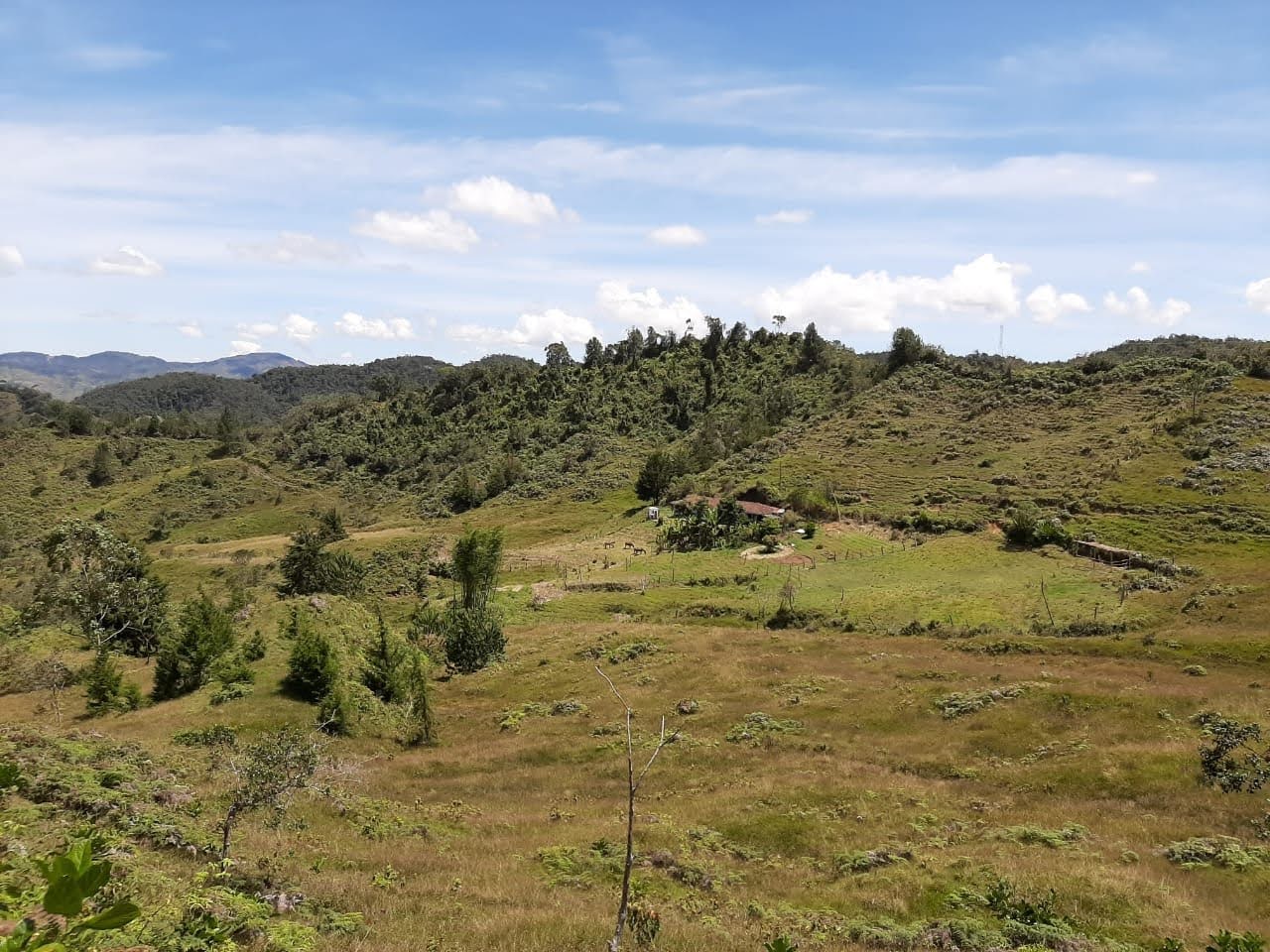 857301420251107112321