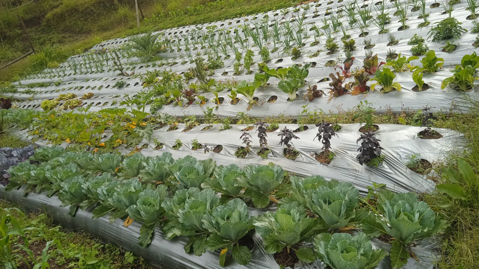 857302020251107112847