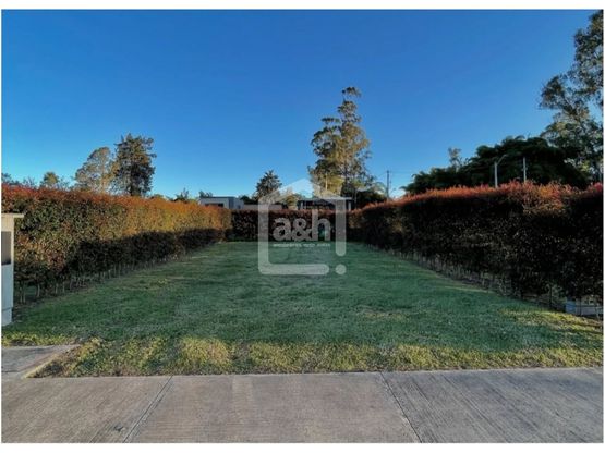 85730220251127110215