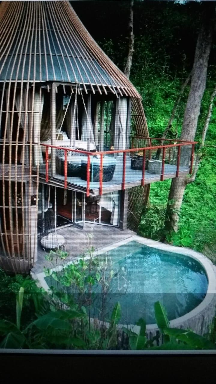 857302420251107112848