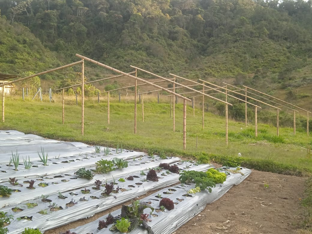 857302620251107112848