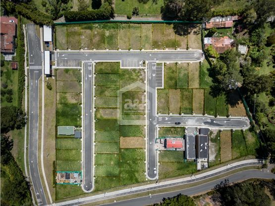 85730320251127110216