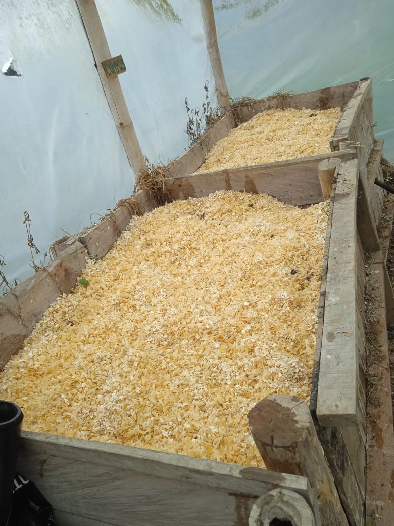 857303320251107112851