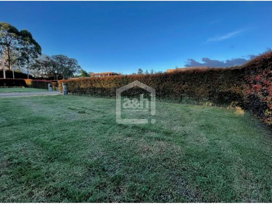 85730420251127110216