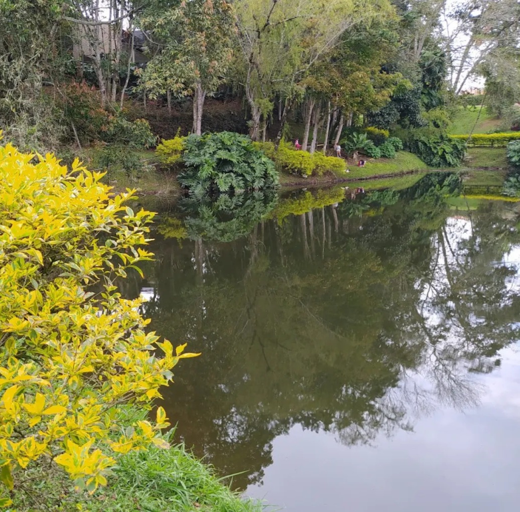 857301020251220115334